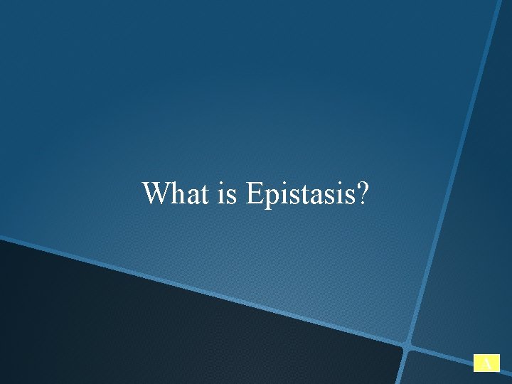 What is Epistasis? A 