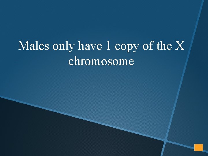 Males only have 1 copy of the X chromosome 