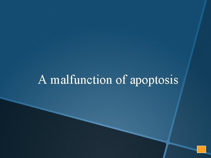 A malfunction of apoptosis 