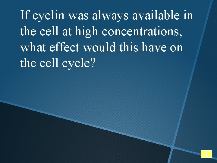 If cyclin was always available in the cell at high concentrations, what effect would