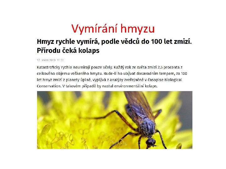 Vymírání hmyzu 