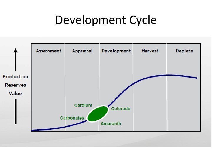 Development Cycle 