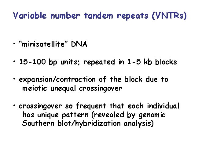 Variable number tandem repeats (VNTRs) • “minisatellite” DNA • 15 -100 bp units; repeated
