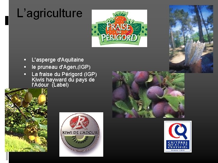 L’agriculture L'asperge d'Aquitaine le pruneau d'Agen, (IGP) La fraise du Périgord (IGP) Kiwis hayward