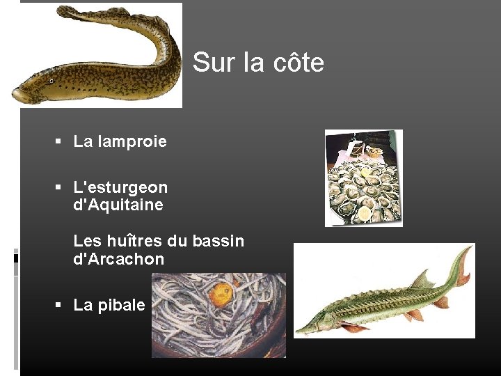 Sur la côte La lamproie L'esturgeon d'Aquitaine Les huîtres du bassin d'Arcachon La pibale