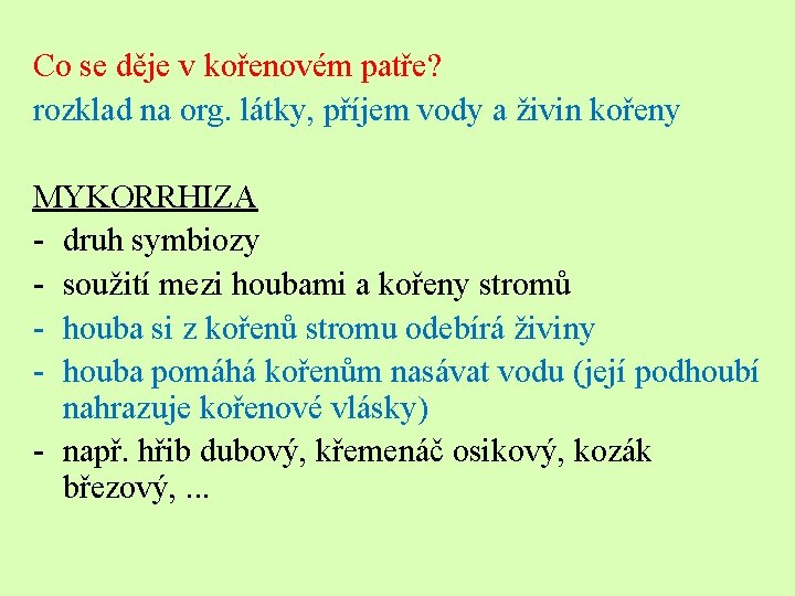 Co se děje v kořenovém patře? rozklad na org. látky, příjem vody a živin