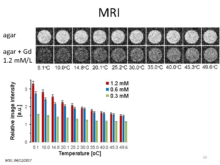 MRI agar Relative image intensity [a. u. ] agar + Gd 1. 2 m.