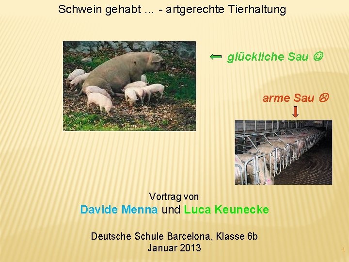 Schwein gehabt … - artgerechte Tierhaltung glückliche Sau arme Sau Vortrag von Davide Menna