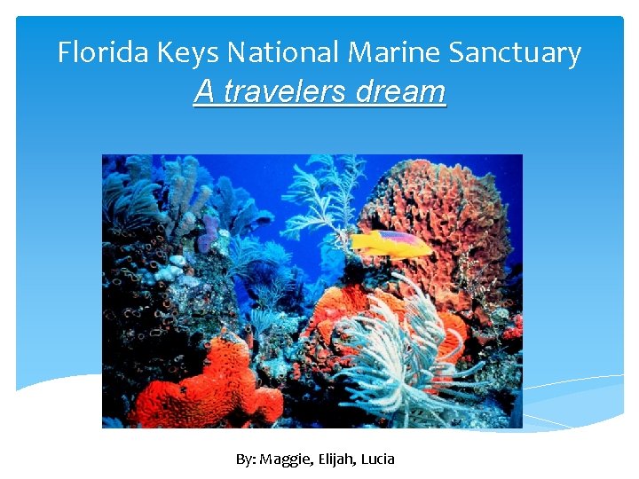 Florida Keys National Marine Sanctuary A travelers dream By: Maggie, Elijah, Lucia 