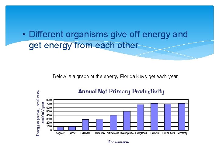  • Different organisms give off energy and get energy from each other Below