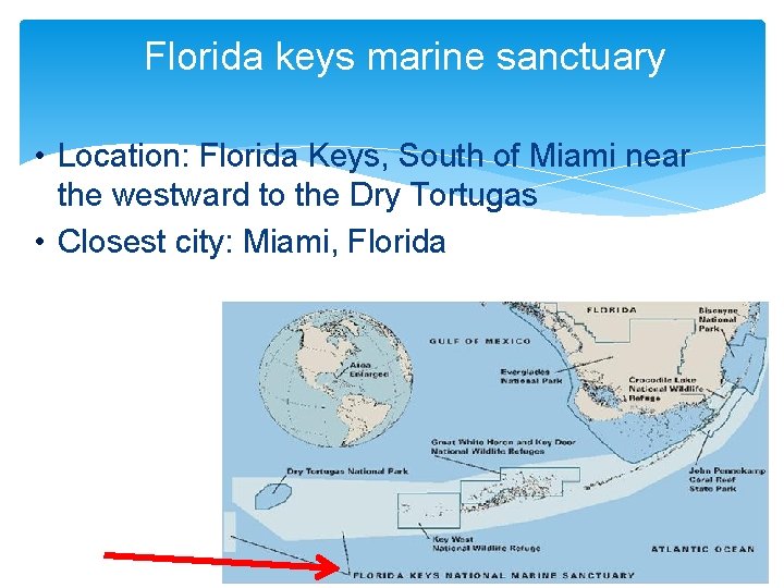 Florida keys marine sanctuary • Location: Florida Keys, South of Miami near the westward