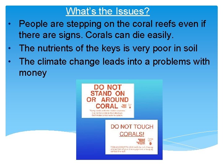 What’s the Issues? • People are stepping on the coral reefs even if there