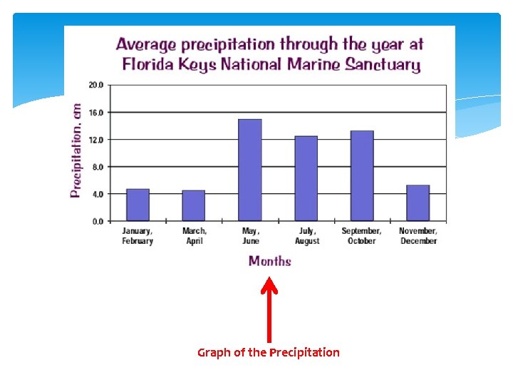 Graph of the Precipitation 