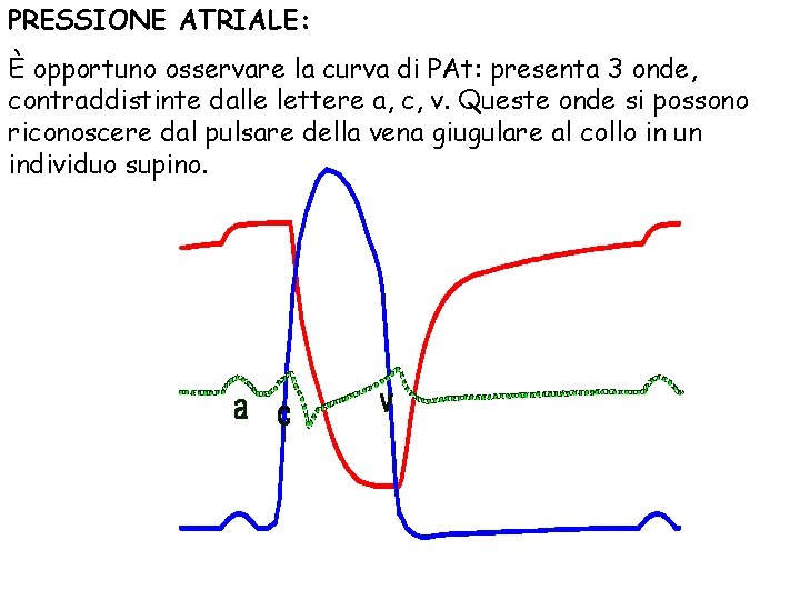 PRESSIONE ATRIALE: È opportuno osservare la curva di PAt: presenta 3 onde, contraddistinte dalle
