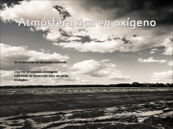 Atmósfera rica en oxígeno Se transformó en un medio oxidante. Una vez acumulado el