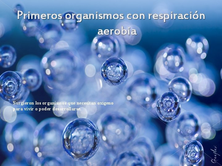 Primeros organismos con respiración aerobia Surgieron los organismos que necesitan oxígeno para vivir o