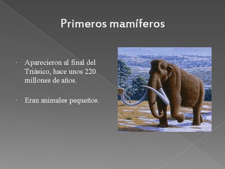 Primeros mamíferos Aparecieron al final del Triásico, hace unos 220 millones de años. Eran