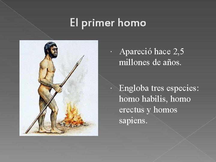 El primer homo Apareció hace 2, 5 millones de años. Engloba tres especies: homo