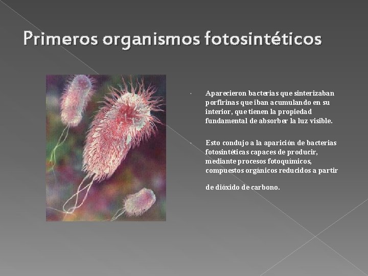 Primeros organismos fotosintéticos Aparecieron bacterias que sinterizaban porfirinas que iban acumulando en su interior,