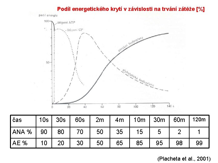 Podíl energetického krytí v závislosti na trvání zátěže [%] čas 10 s 30 s