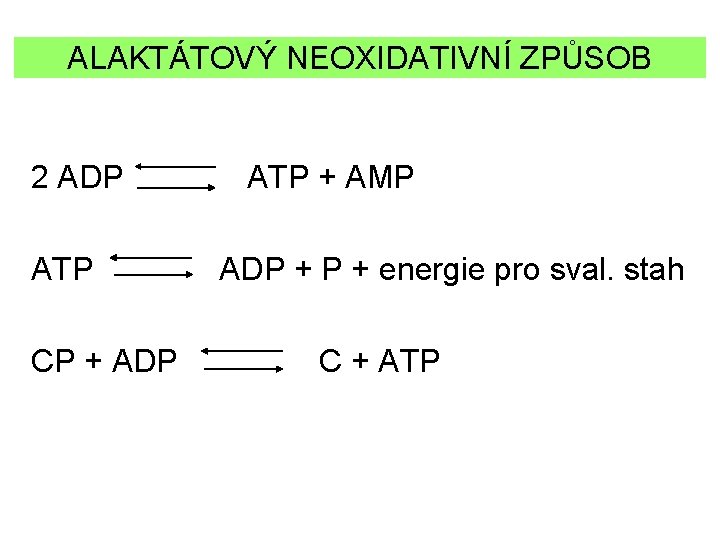 ALAKTÁTOVÝ NEOXIDATIVNÍ ZPŮSOB 2 ADP ATP CP + ADP ATP + AMP ADP +