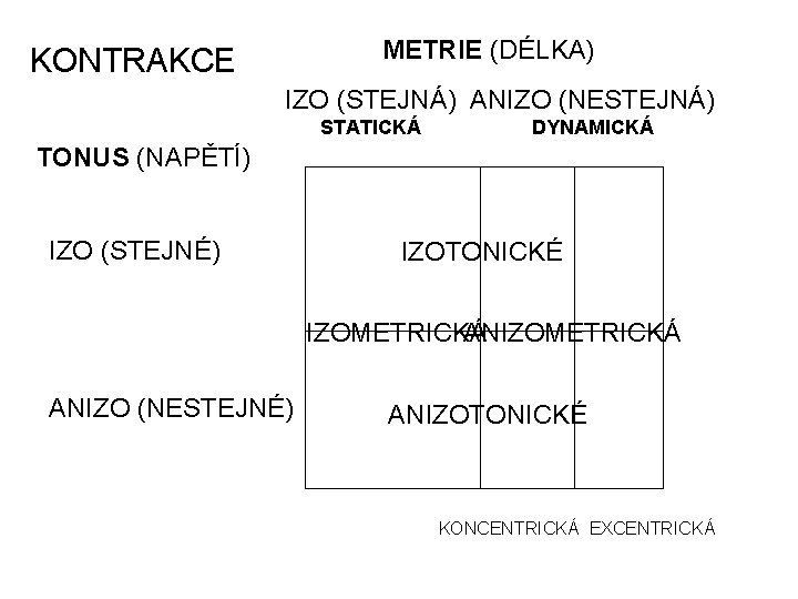 METRIE (DÉLKA) KONTRAKCE IZO (STEJNÁ) ANIZO (NESTEJNÁ) STATICKÁ DYNAMICKÁ TONUS (NAPĚTÍ) IZO (STEJNÉ) IZOTONICKÉ