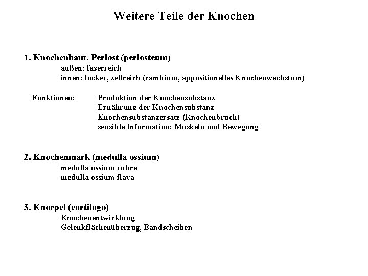 Weitere Teile der Knochen 1. Knochenhaut, Periost (periosteum) außen: faserreich innen: locker, zellreich (cambium,