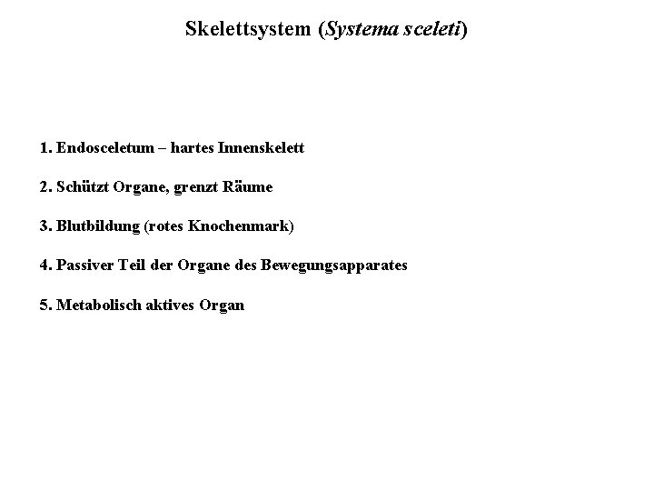 Skelettsystem (Systema sceleti) 1. Endosceletum – hartes Innenskelett 2. Schützt Organe, grenzt Räume 3.