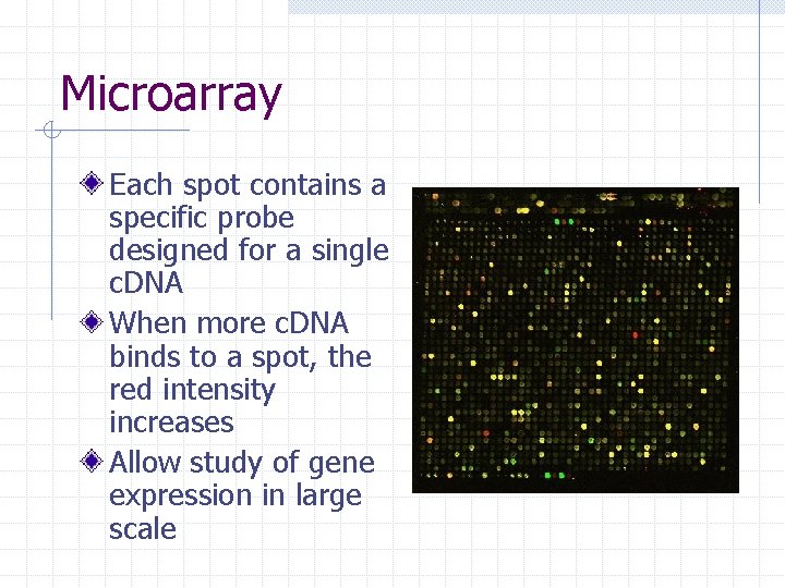 Microarray Each spot contains a specific probe designed for a single c. DNA When