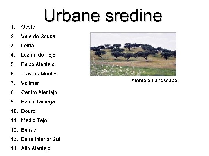 Urbane sredine 1. Oeste 2. Vale do Sousa 3. Leiria 4. Leziria do Tejo