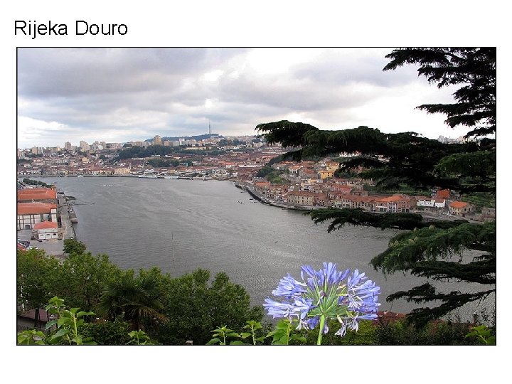 Rijeka Douro 