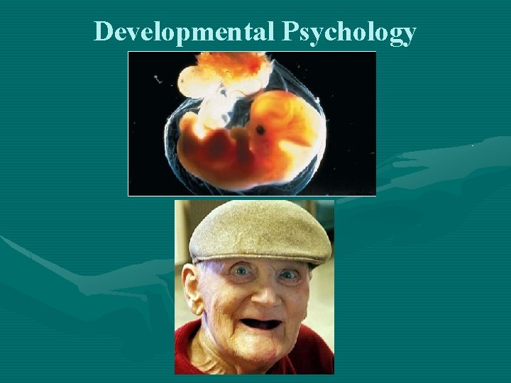 Developmental Psychology 