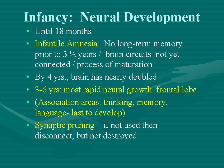 Infancy: Neural Development • Until 18 months • Infantile Amnesia: No long-term memory prior