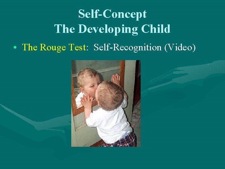 Self-Concept The Developing Child • The Rouge Test: Self-Recognition (Video) 