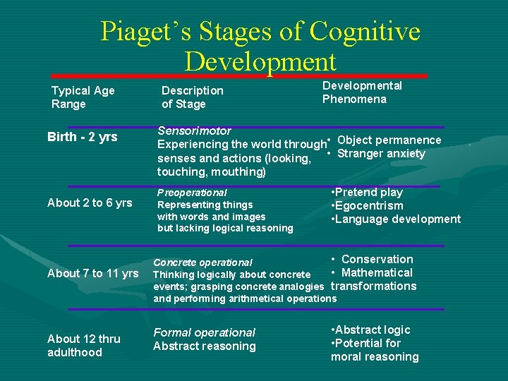 Piaget’s Stages of Cognitive Development Typical Age Range Birth - 2 yrs About 2