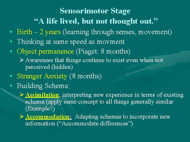 Sensorimotor Stage “A life lived, but not thought out. ” • • • Birth