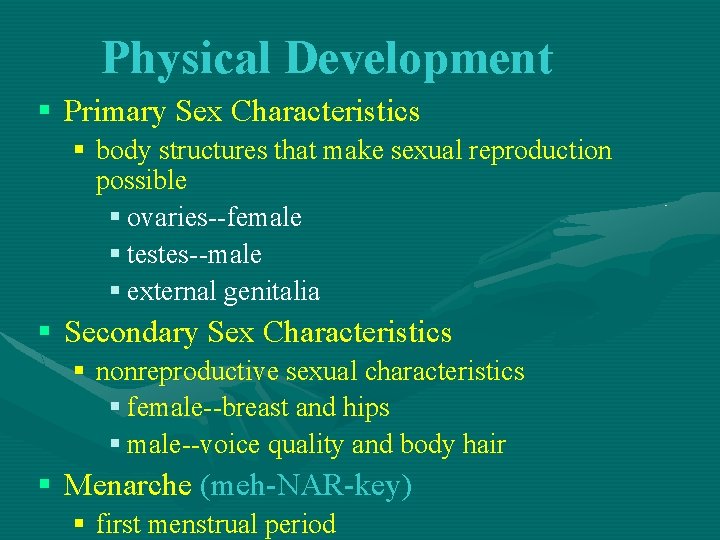 Physical Development § Primary Sex Characteristics § body structures that make sexual reproduction possible