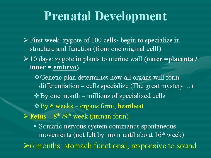 Prenatal Development Ø First week: zygote of 100 cells- begin to specialize in structure