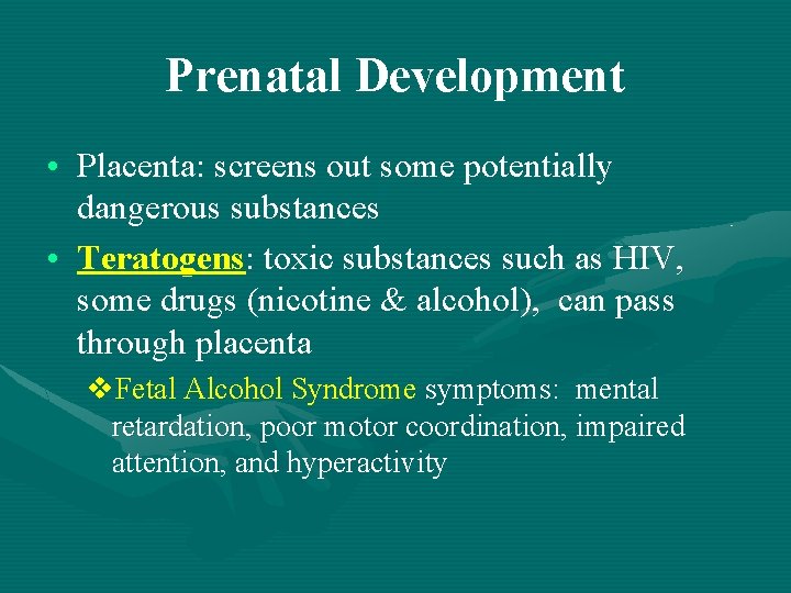 Prenatal Development • Placenta: screens out some potentially dangerous substances • Teratogens: toxic substances