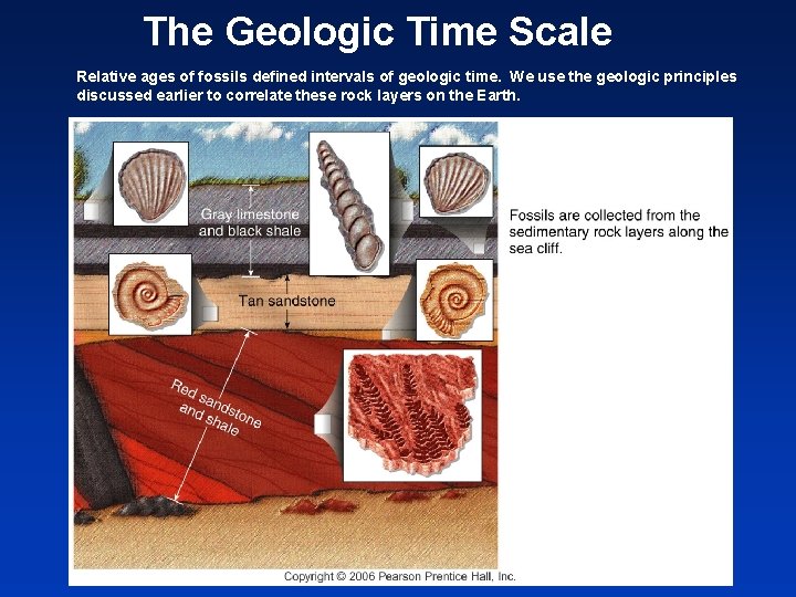 The Geologic Time Scale Relative ages of fossils defined intervals of geologic time. We