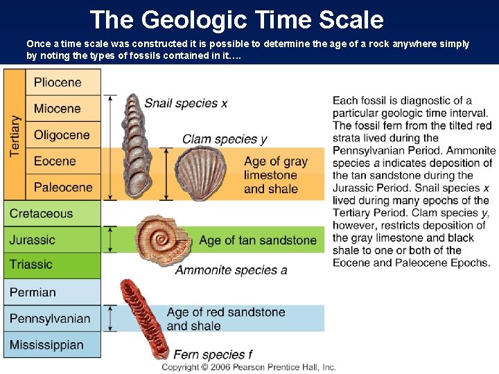 The Geologic Time Scale Once a time scale was constructed it is possible to