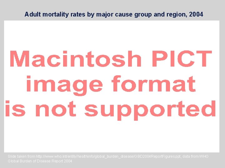 Adult mortality rates by major cause group and region, 2004 Slide taken from http: