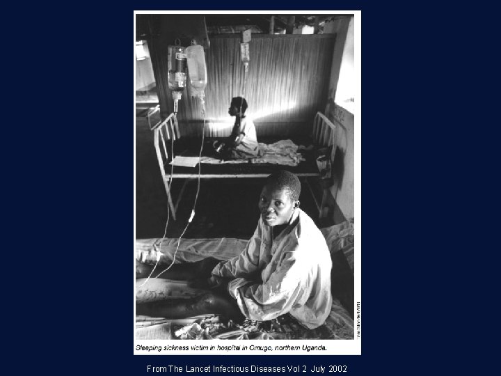 From The Lancet Infectious Diseases Vol 2 July 2002 