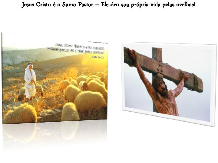 Jesus Cristo é o Sumo Pastor – Ele deu sua própria vida pelas ovelhas!