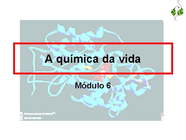 A química da vida Módulo 6 