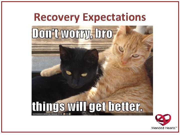 Recovery Expectations 
