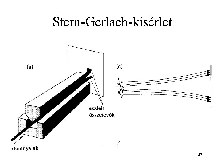 Stern-Gerlach-kísérlet 47 