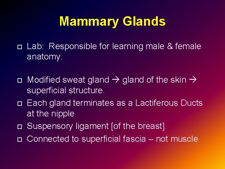 Mammary Glands Lab: Responsible for learning male & female anatomy. Modified sweat gland of