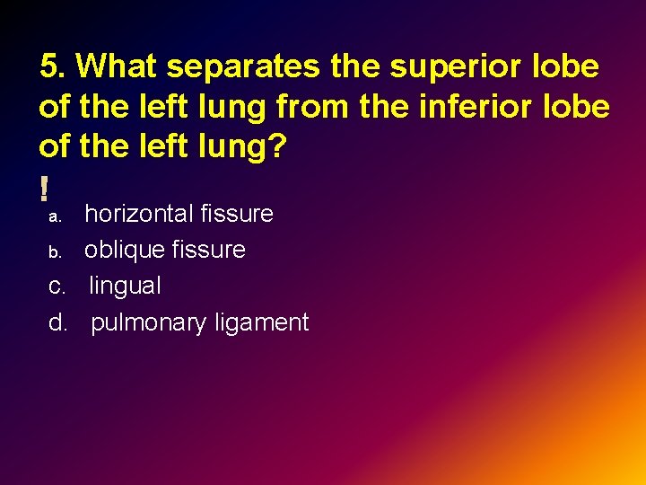 5. What separates the superior lobe of the left lung from the inferior lobe