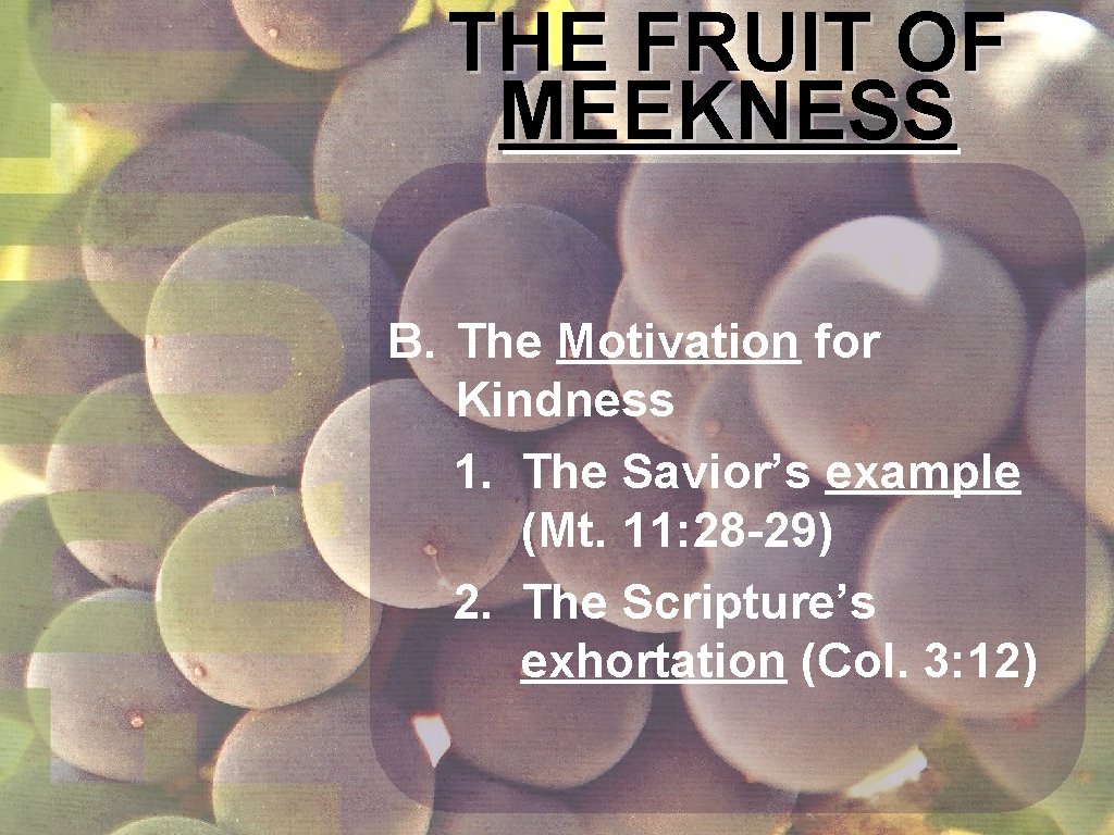 THE FRUIT OF MEEKNESS B. The Motivation for Kindness 1. The Savior’s example (Mt. THE FRUIT OF MEEKNESS B. The Motivation for Kindness 1. The Savior’s example (Mt.